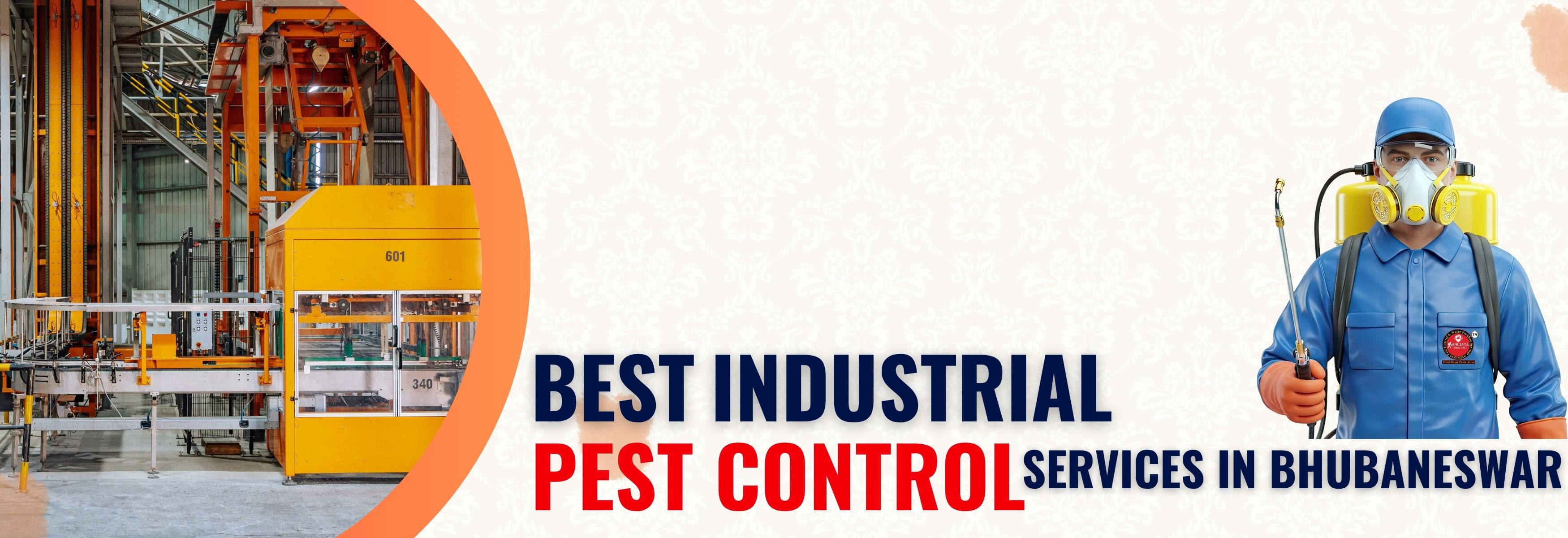 Termite control service in Bhubaneswar Odisha