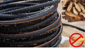 Pipe Termite Control System Installation in Bhubaneswar