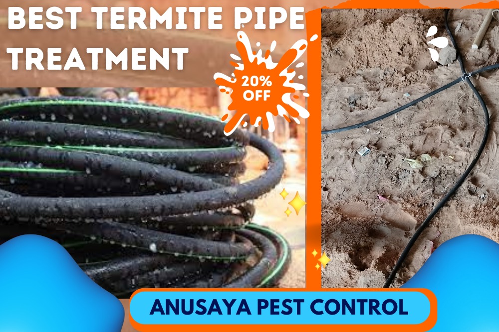 Professional Pipe Termite Control Service in Bhubaneswar